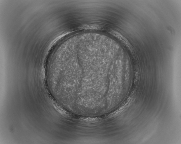 X0000112951027200909211150