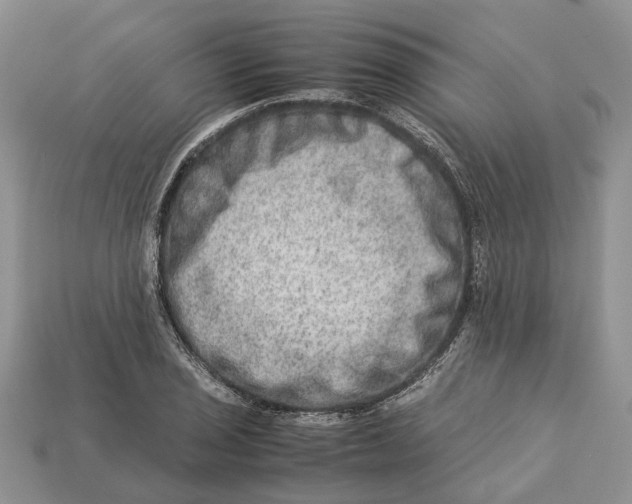 X0000112951029200909211150