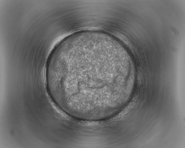 X0000112951030200909211150