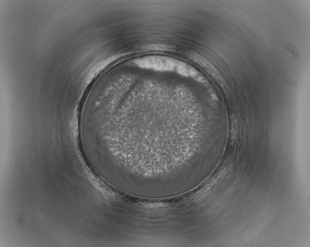 X0000112951031200909211150