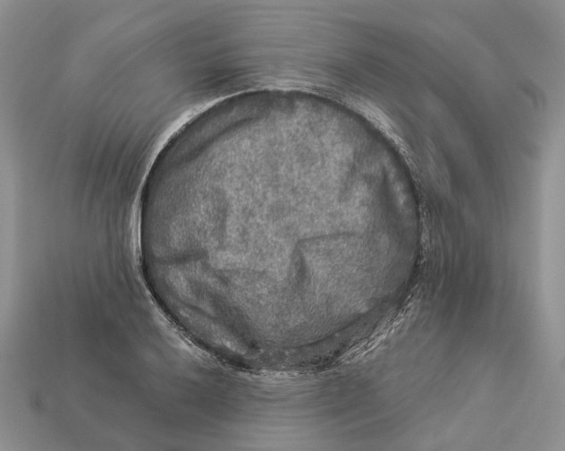 X0000112951032200909211150