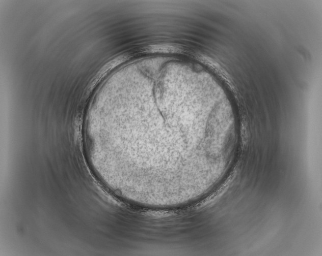 X0000112951033200909211150