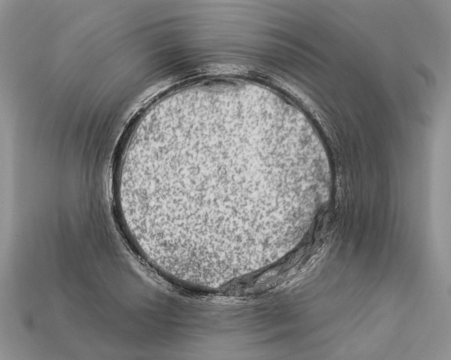 X0000112951034200909211150