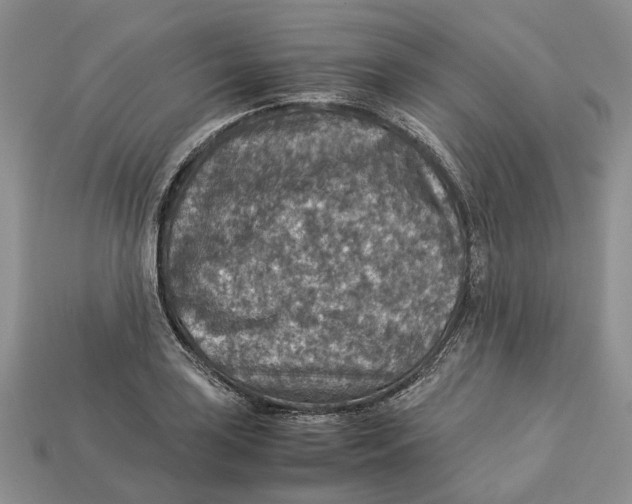 X0000112951035200909211150