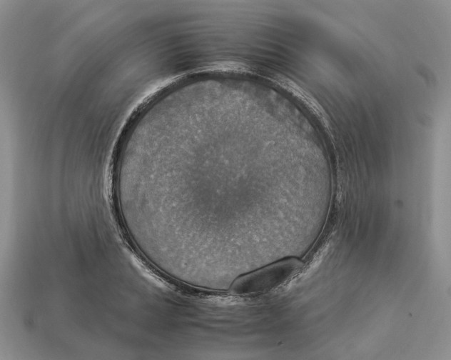 X0000112951037200909211150