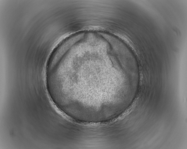 X0000112951038200909211150