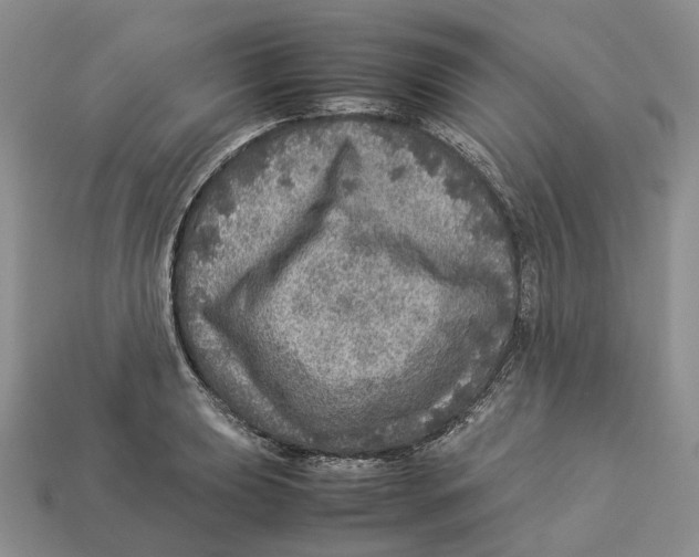 X0000112951039200909211150