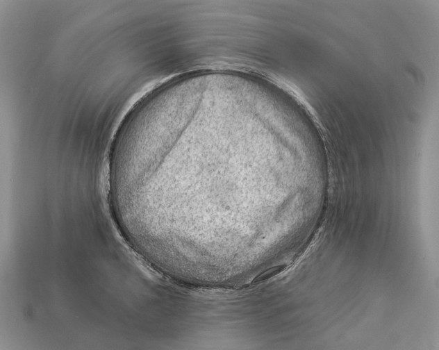 X0000112951040200909211150