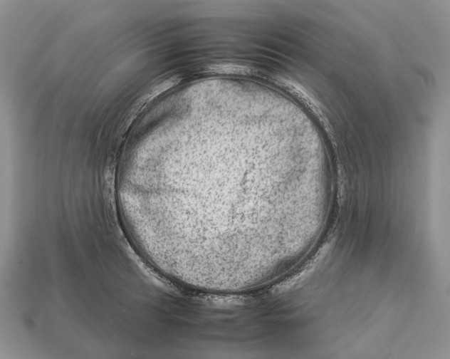 X0000112951041200909211150