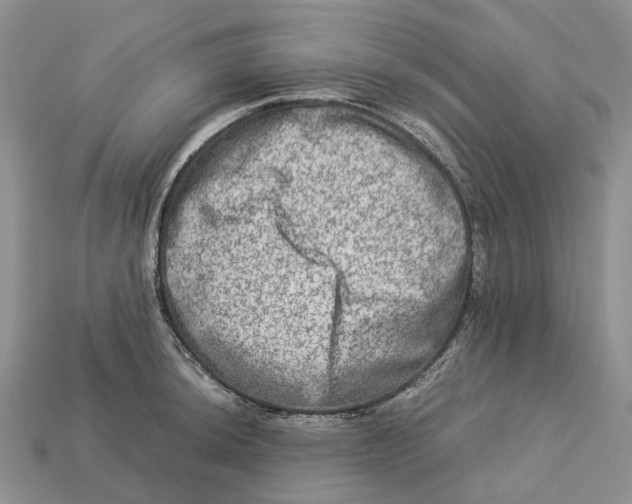 X0000112951044200909211150