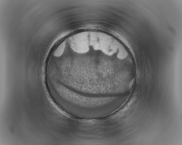 X0000112951045200909211150