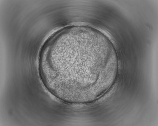 X0000112951046200909211150