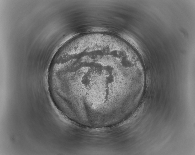 X0000112951047200909211150