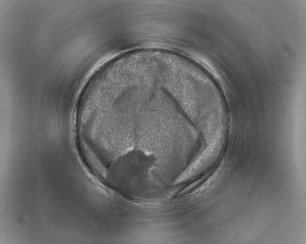 X0000112951048200909211150