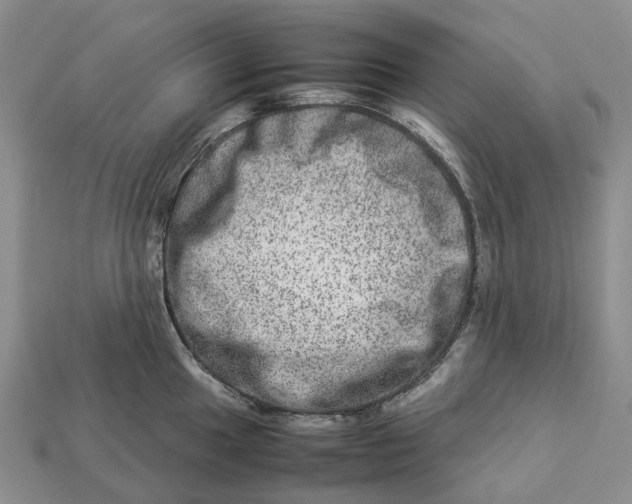 X0000112951049200909211150