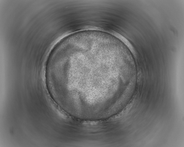 X0000112951051200909211150