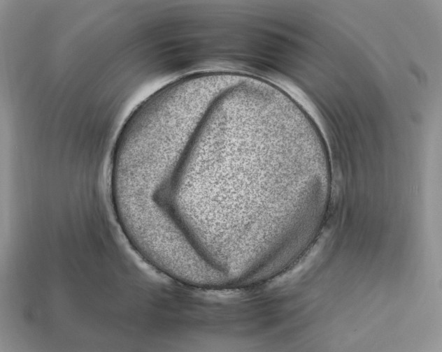 X0000112951053200909211150