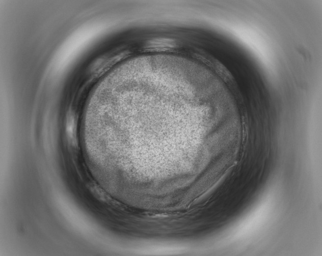 X0000112951054200909211150