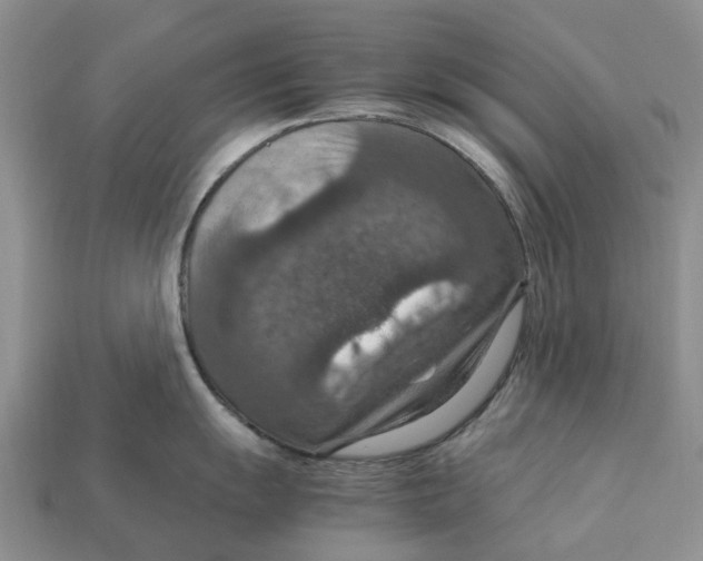 X0000112951055200909211150