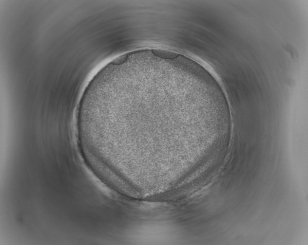 X0000112951056200909211150