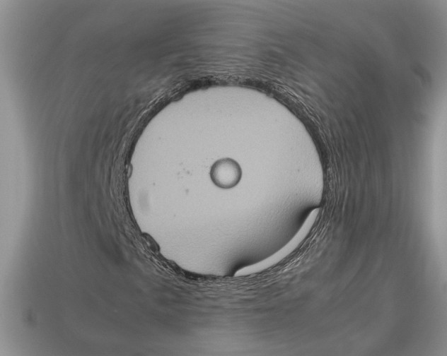 X0000112951057200909211150