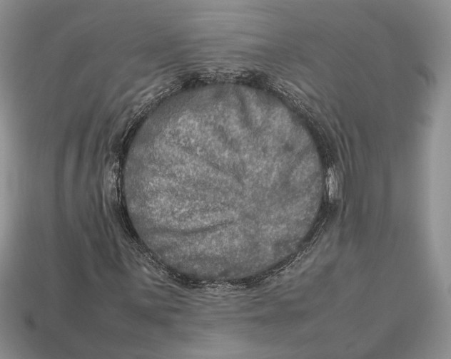 X0000112951059200909211150