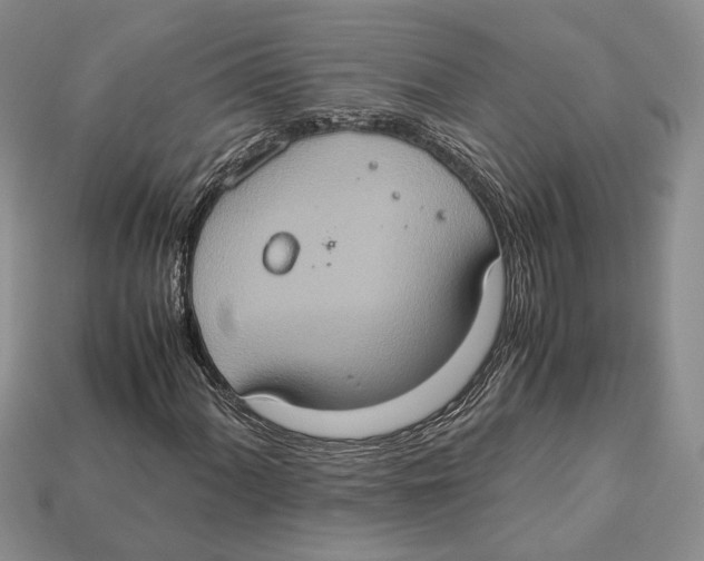 X0000112951060200909211150