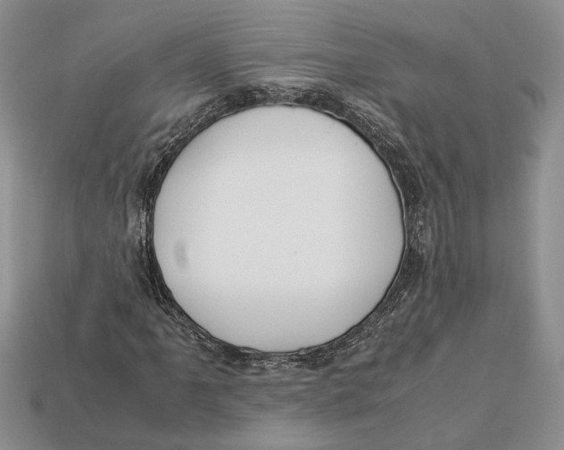 X0000112951061200909211150