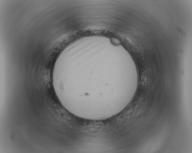 X0000112951062200909211149