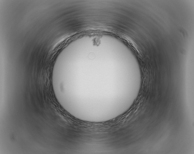 X0000112951064200909211149