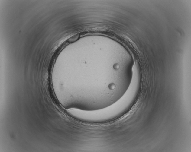 X0000112951065200909211149