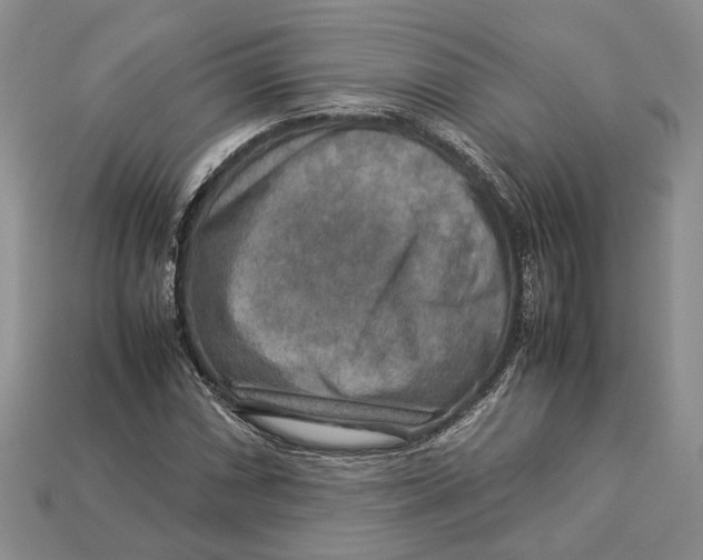 X0000112951066200909211149