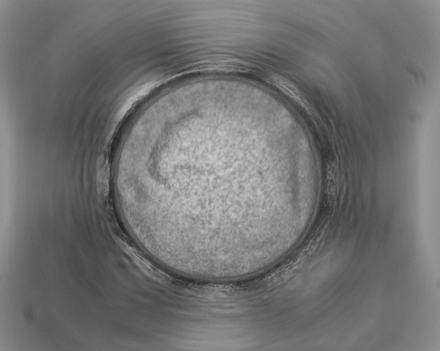 X0000112951067200909211149