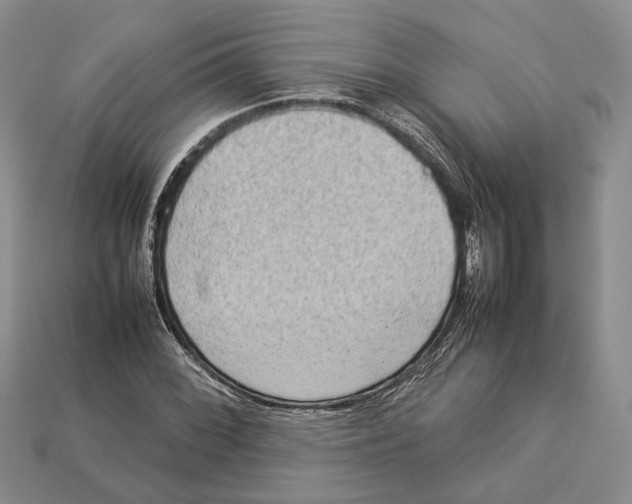 X0000112951068200909211149