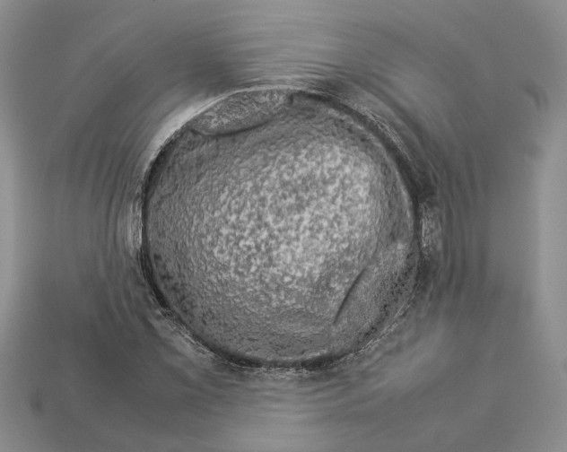 X0000112951069200909211149