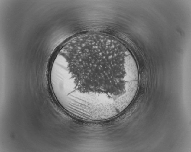 X0000112951071200909211149