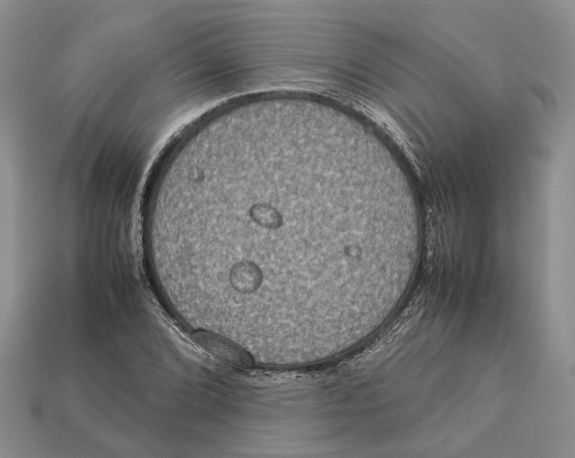 X0000112951072200909211149