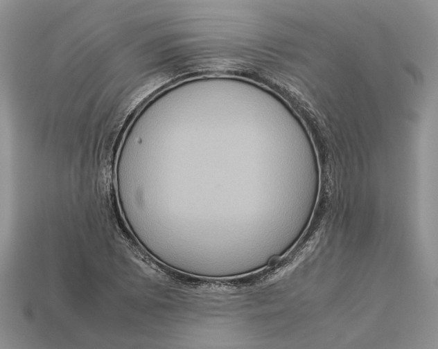 X0000112951073200909211149