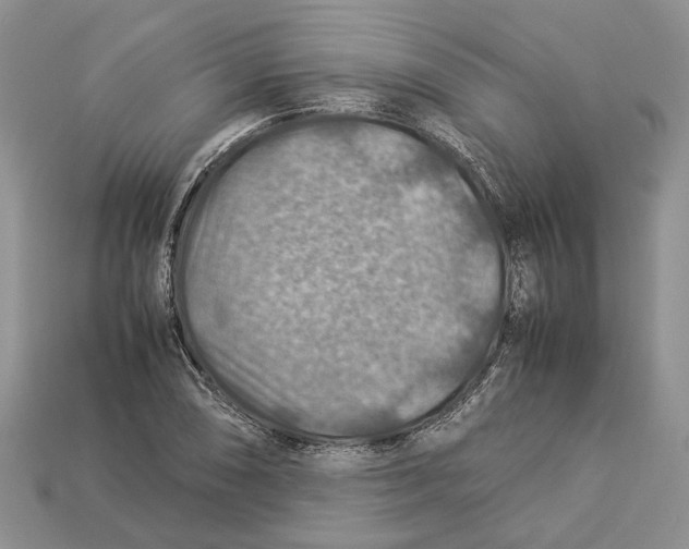 X0000112951074200909211149