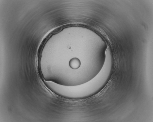 X0000112951076200909211149