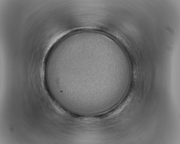 X0000112951077200909211149