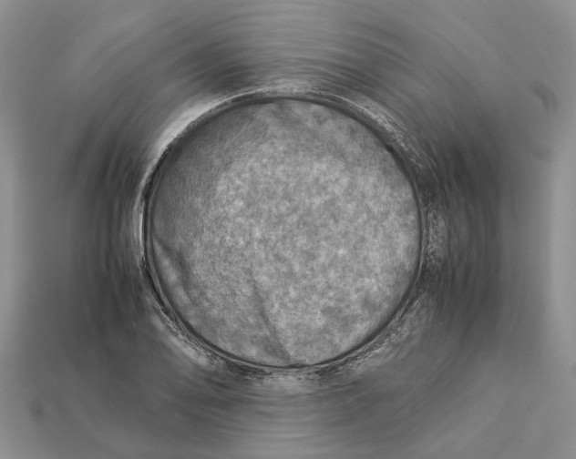 X0000112951078200909211149