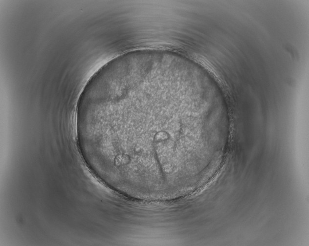 X0000112951079200909211149