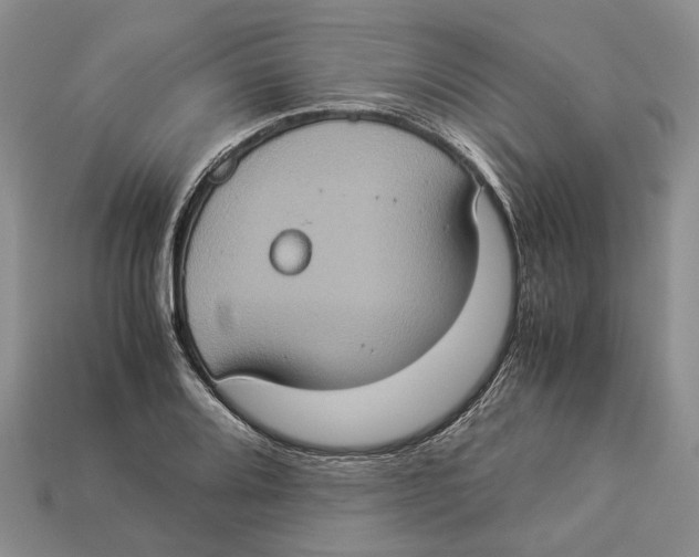 X0000112951080200909211149