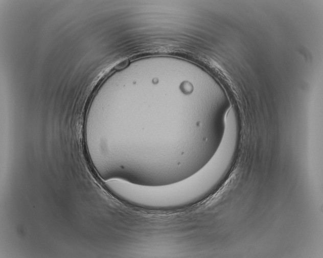 X0000112951081200909211149