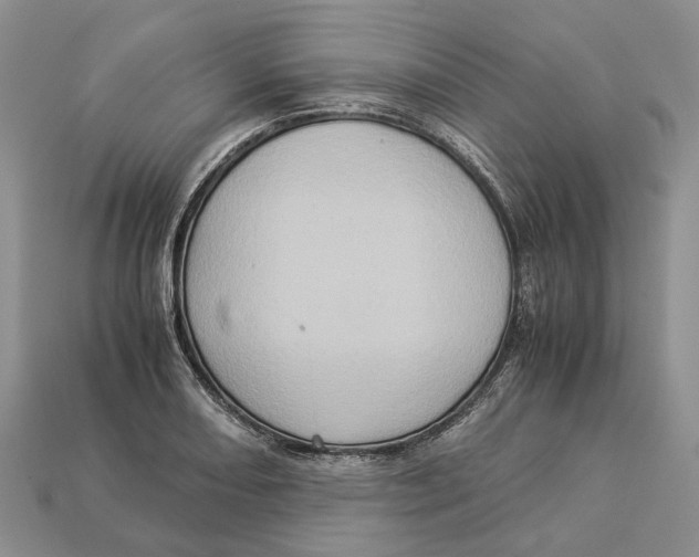 X0000112951082200909211149