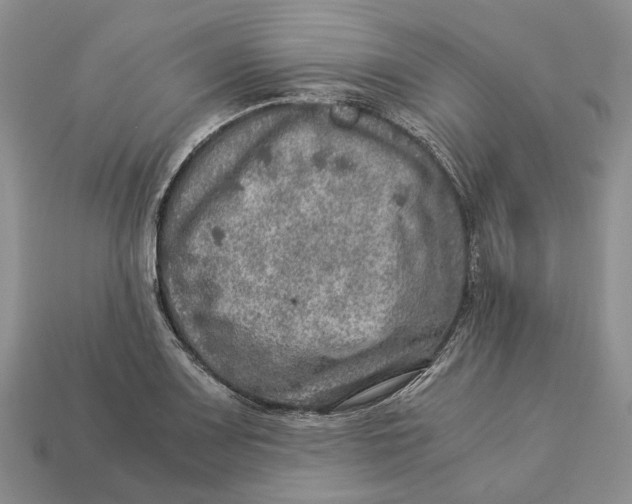 X0000112951083200909211149