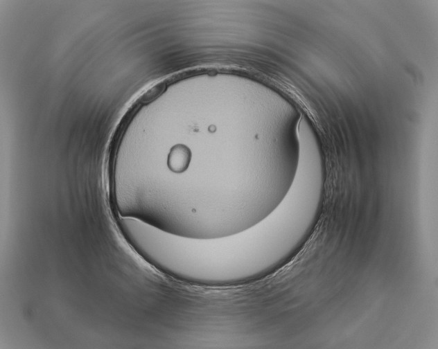 X0000112951084200909211149