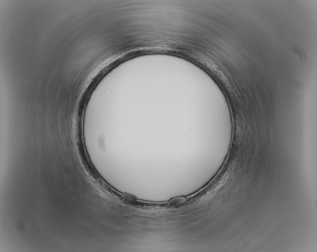 X0000112951085200909211149