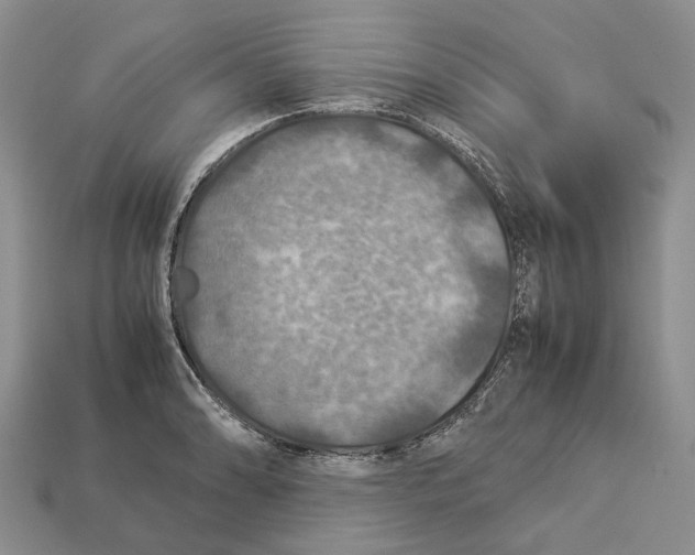 X0000112951086200909211149